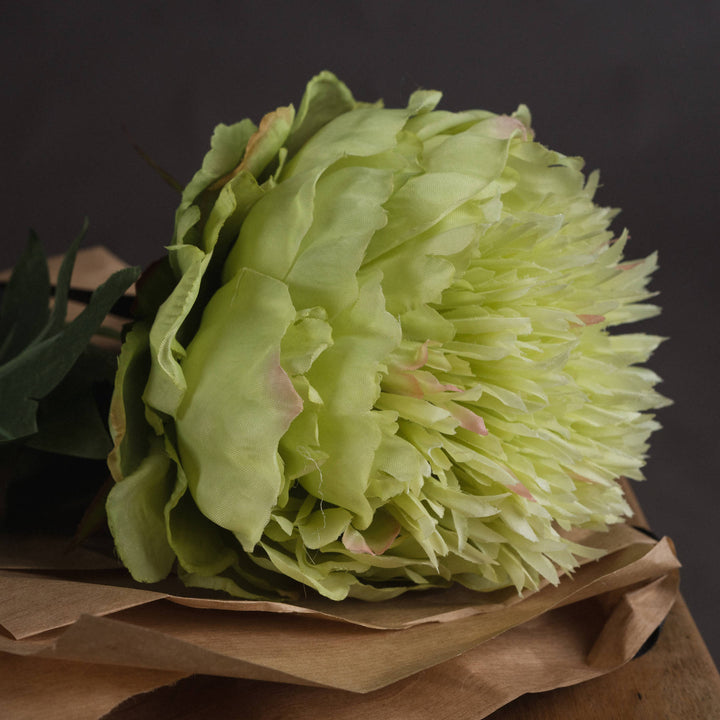 Peony In Green