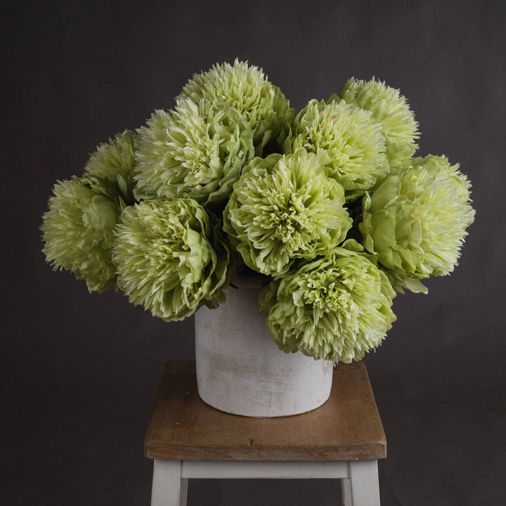 Peony In Green