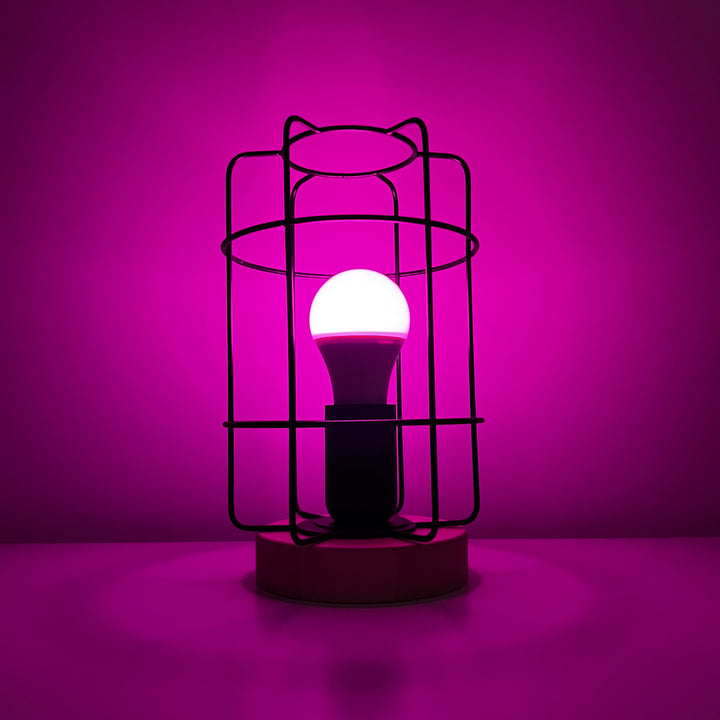 Gotto Table Lamp